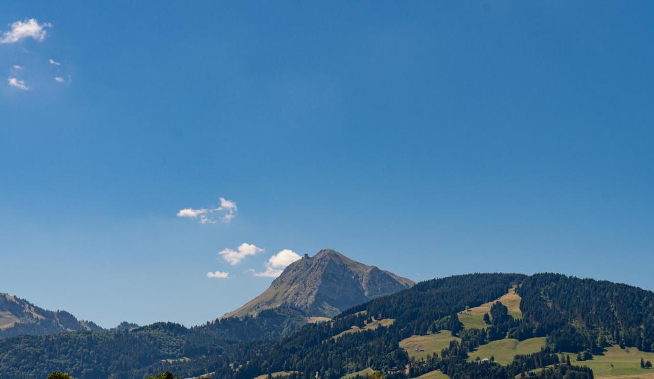 Hotel D Bulle - La Gruyere Exterior photo